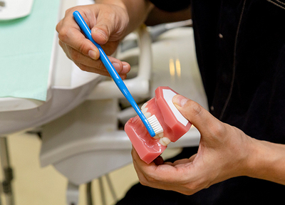 クリーニング・ブラッシング指導